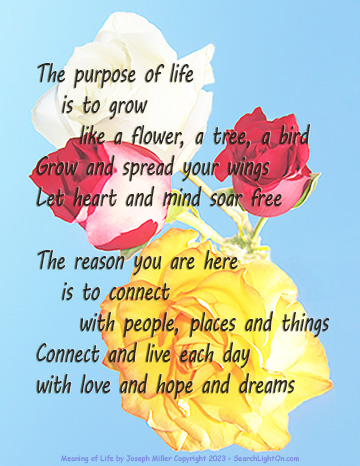 purpose of life poem image
